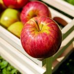 apples